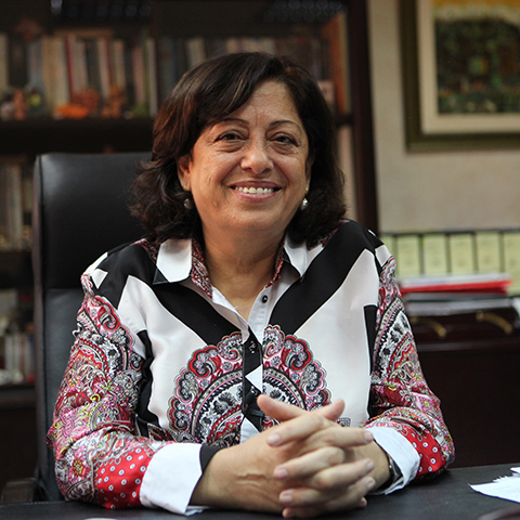 Overturning Article 308: A Profile of Asma Khader and WLP Jordan/SIGI/J | Women's Learning ...