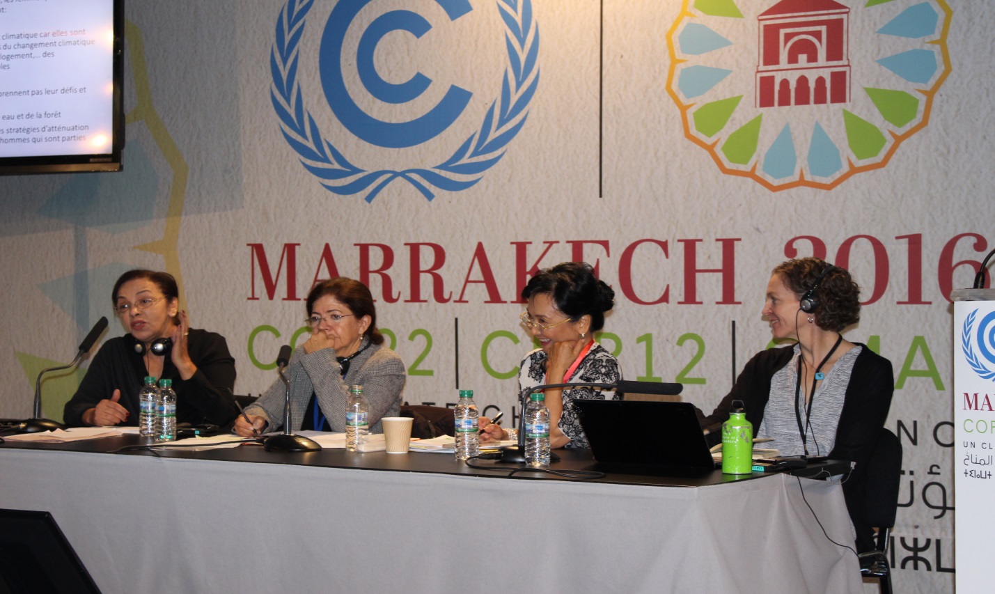 COP22 Event Photo