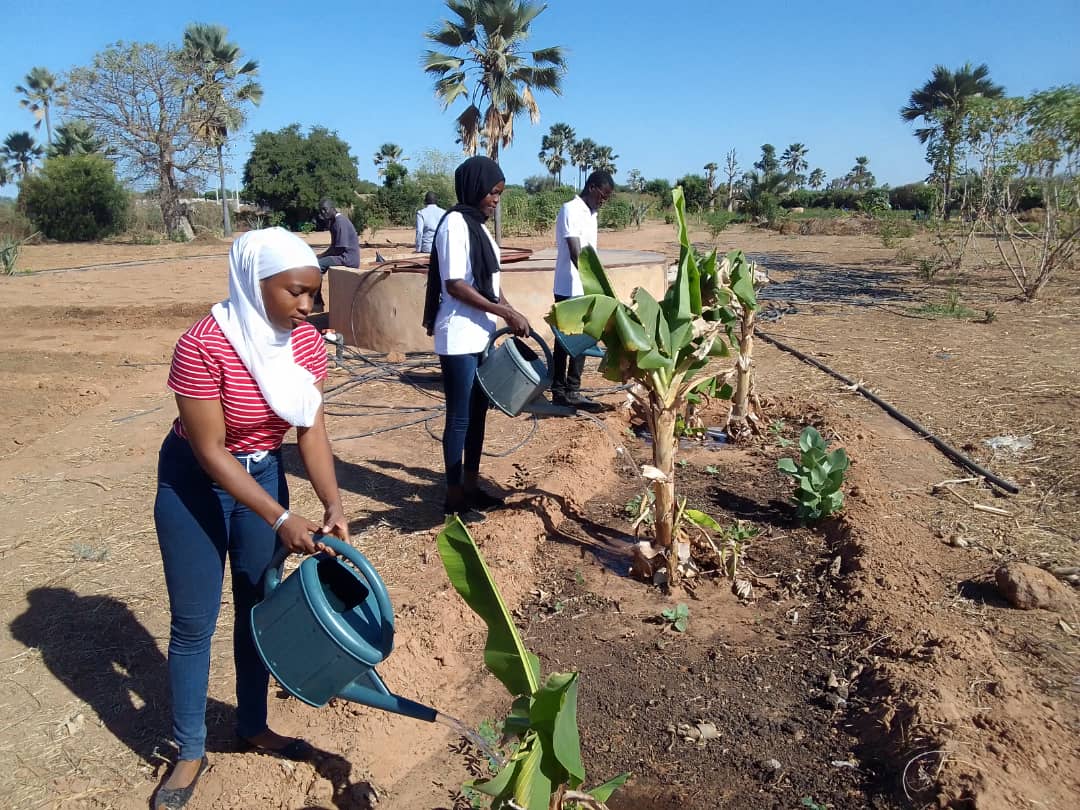 Senegal_COP27ParallelEvent_Training_Nov2022_13