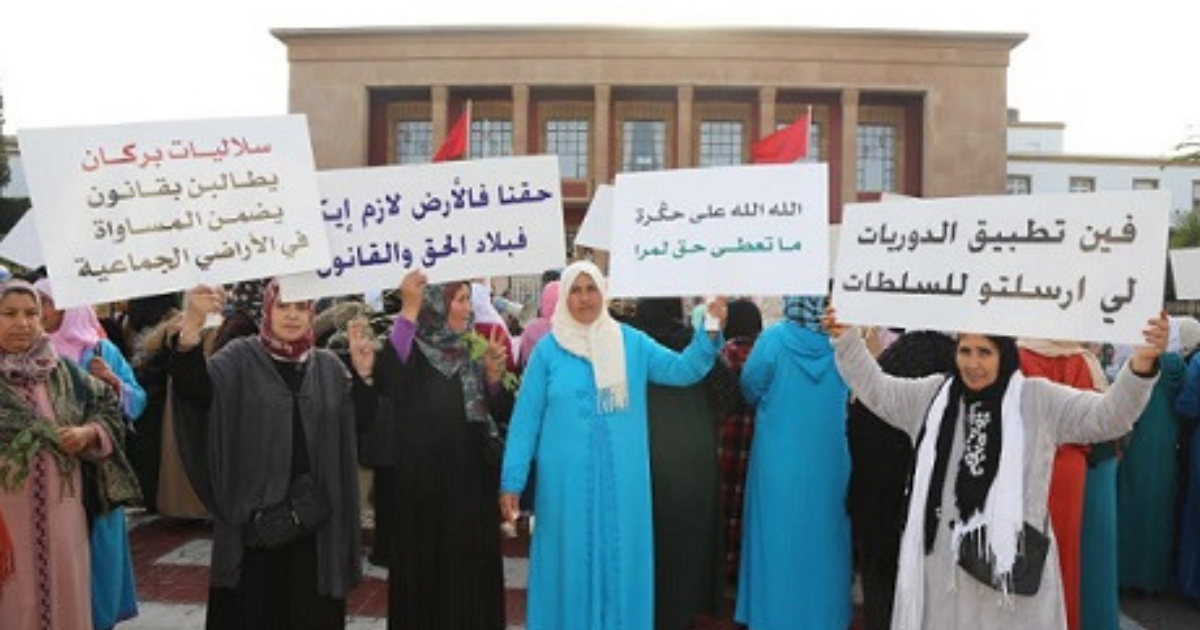 Moroccan women stand together holding signs at a rally for land rights