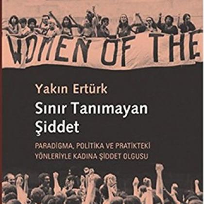 Violence Without Borders Turkish cover